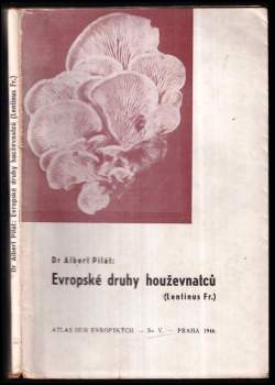 Atlas hub evropských