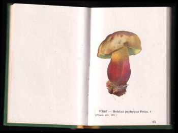 Otakar Zejbrlík: Atlas hub jedlých a jim podobných jedovatých + Druhý atlas hub jedlých a jim podobných jedovatých
