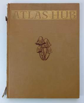 Atlas hub