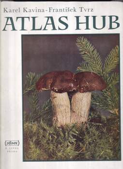 Atlas hub