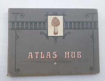 Atlas hub - s četnými barevnými, umělecky věrně dle přírody provedenými obrazy nejhojněji se vyskytujících jedlých, podezřelých i jedovatých hub