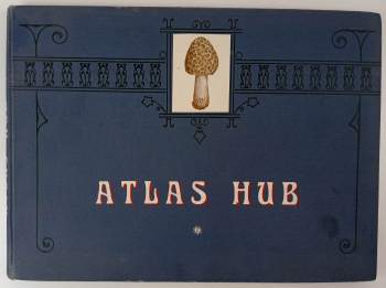 Jan John: Atlas hub - s četnými barevnými, umělecky věrně dle přírody provedenými obrazy nejhojněji se vyskytujících jedlých, podezřelých i jedovatých hub
