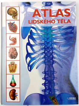 Miquel Ferrón Geis: Atlas lidského těla