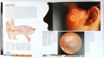 Pierluigi Diano: Atlas lidského těla