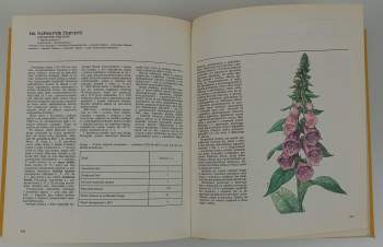 Jindřich Krejča: Atlas liečivých rastlín a lesných plodov