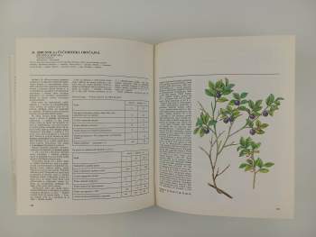 Jaroslav Kresánek: Atlas liečivých rastlín a lesných plodov