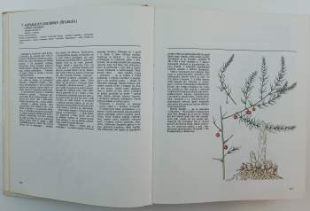 Jaroslav Kresánek: Atlas liečivých rastlín a lesných plodov