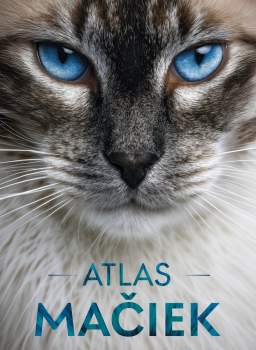 Atlas mačiek