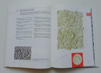 Antonín Rükl: Atlas Měsíce