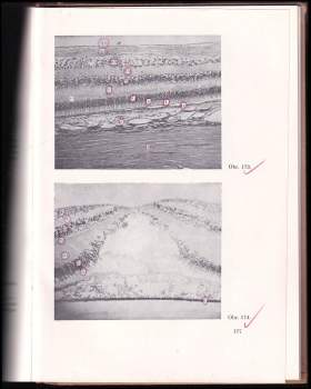 Zdeněk Frankenberger: Atlas mikroskopické anatomie člověka