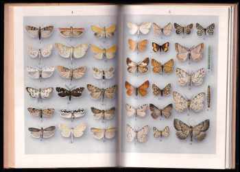 Julius Komárek: Atlas motýlů