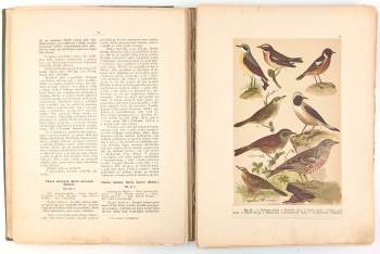 Jiří Janda: Atlas ptactva středoevropského