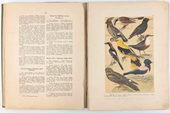 Jiří Janda: Atlas ptactva středoevropského