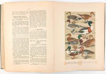 Jiří Janda: Atlas ptactva středoevropského