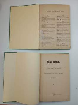 Jan John: Atlas rostlin