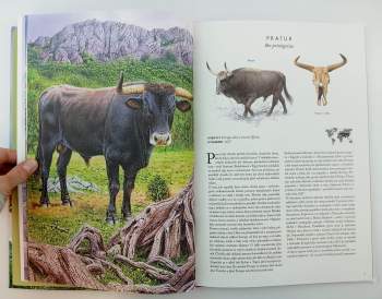 Malý Radek: Atlas vyhubených živočichů