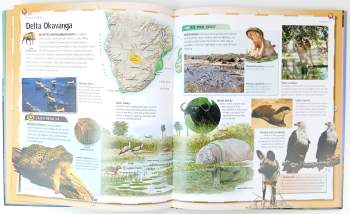 Jinny Johnson: Atlas zvířat