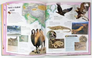 Jinny Johnson: Atlas zvířat