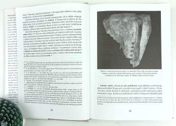 Jarmila Bednaříková: Attila