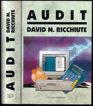David N Ricchiute: Audit