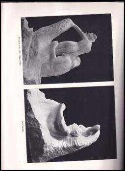 Auguste Rodin: Auguste Rodin von Gustave Kahn