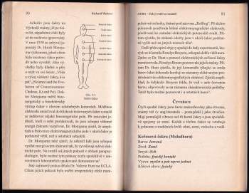 Richard Webster: AURA - jak ji vidět a rozumět