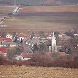 Brezina