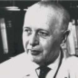 Josef Hynie