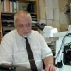 Ludek Vajner