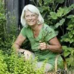 Pam Montgomery