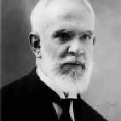 Rafael Altamira