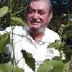 Rudolf Szamos
