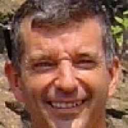 Tony Hawks