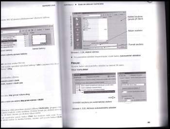 Jaroslav Kletečka: AutoCad 2006