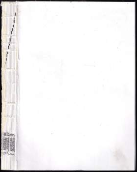 Jiří Šťastný: Autoelektrika a autoelektronika