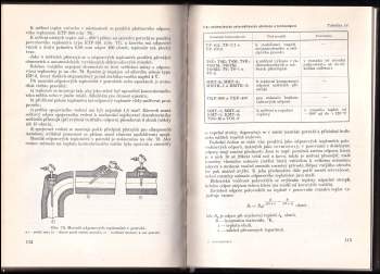 David Il'jič Skoblo: Automatizace výrobních procesů v potravinářském průmyslu