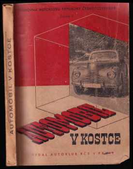 Automobil v kostce