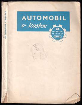 Automobil v kostce