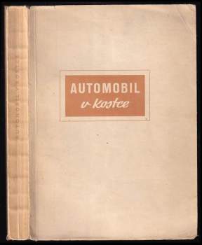 Automobil v kostce