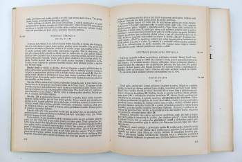 Josef Fronk: Automobil v obrazech