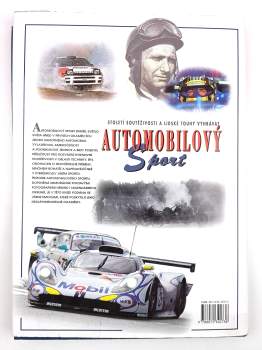 Enzo Rizzo: Automobilový sport