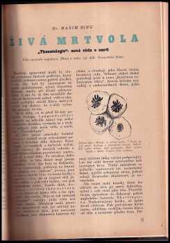 Miloslav Hladík: Aventinský magazín
