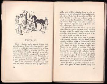 Václav Prokůpek: Baba