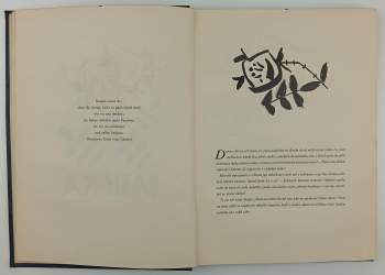 Božena Němcová: Babička