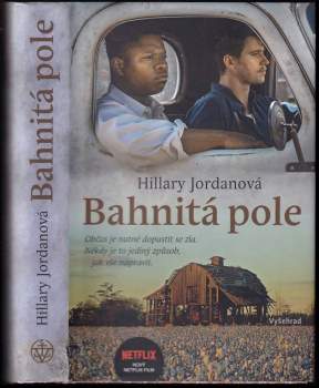 Bahnitá pole