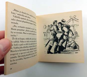 Miroslav Žamboch: Bakly