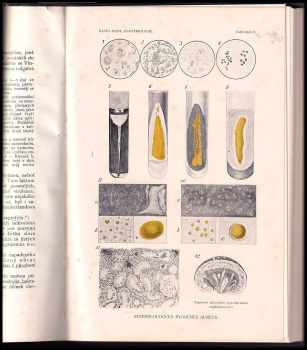 Jaroslav Hlava: Bakteriologie