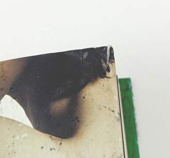 Alison Belsham: Balzamovač