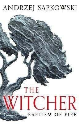 Baptism of Fire: Witcher 3