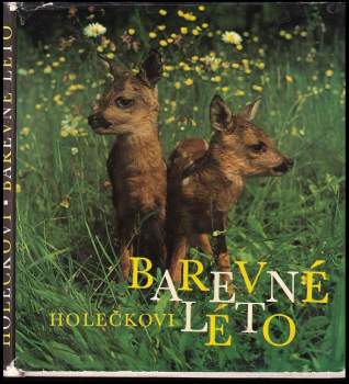 Barevné léto